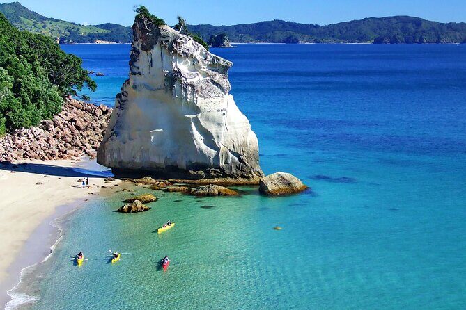 Cathedral Cove Kayak Tour - FAQ - Your Practical Questions Answered