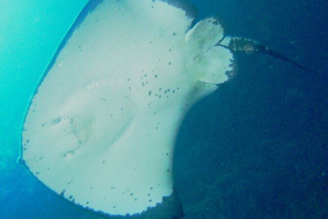 Cathedral Cove Marine Reserve - Specialised Boat Snorkeling - Itinerary Breakdown