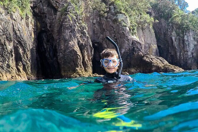 Cathedral Cove Marine Reserve - Specialised Boat Snorkeling - Final Thoughts