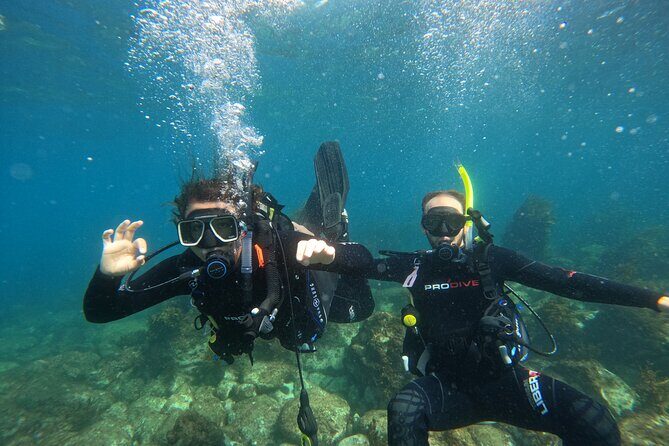 Cathedral Cove Marine Reserve - Specialised Boat Snorkeling - Frequently Asked Questions