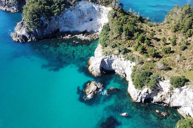 Cathedral Cove Scenic Cruises Whitianga - An In-Depth Look at the Cathedral Cove Scenic Cruises Experience