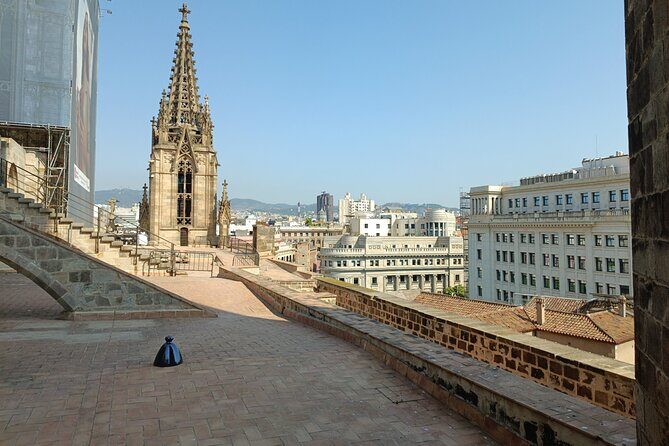 Cathedral of Barcelona Entrance Ticket with Access to the Rooftop - A Closer Look at the Barcelona Cathedral Experience
