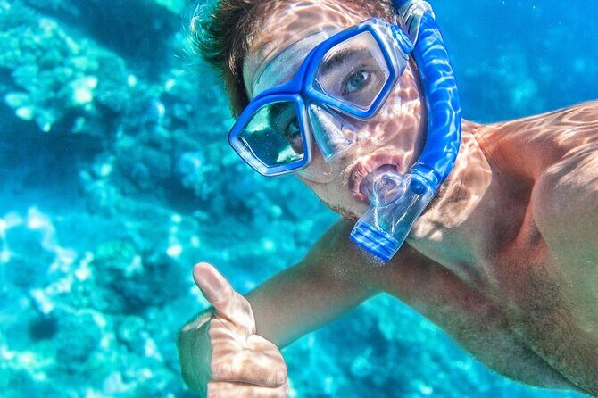 Catlina Island | Free Diving and Transportation - Detailed Review of the Catalina Island Tour