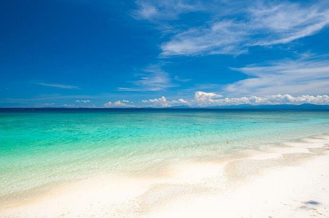 Catlina Island | Free Diving and Transportation - FAQ