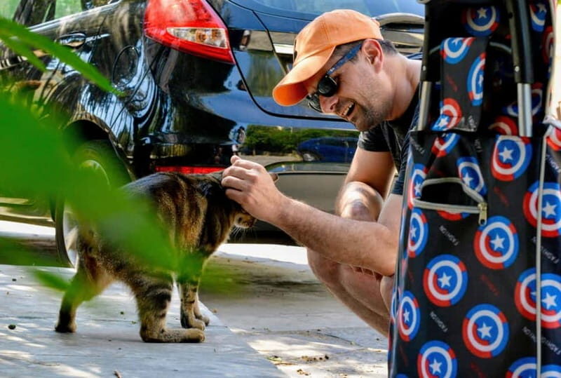 Cats of Athens - Walking Tour - Exploring Athens’ Feline Side: A Walk with the Cats of Athens