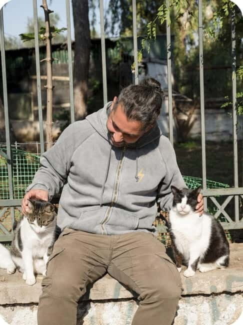 Cats of Athens - Walking Tour - Why This Tour Is Worth Your Time