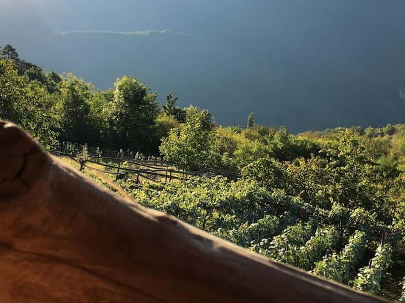 Caucasus: Wine Cellars Tour in Microzones of Racha-Lechkhumi - Who Would Love This Tour?
