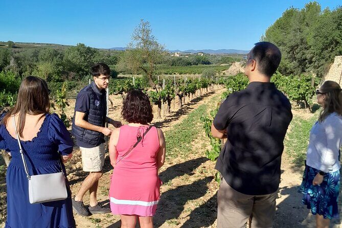 Cava tour to 3 family wineries with hotel pick-up - Who Should Consider This Tour?