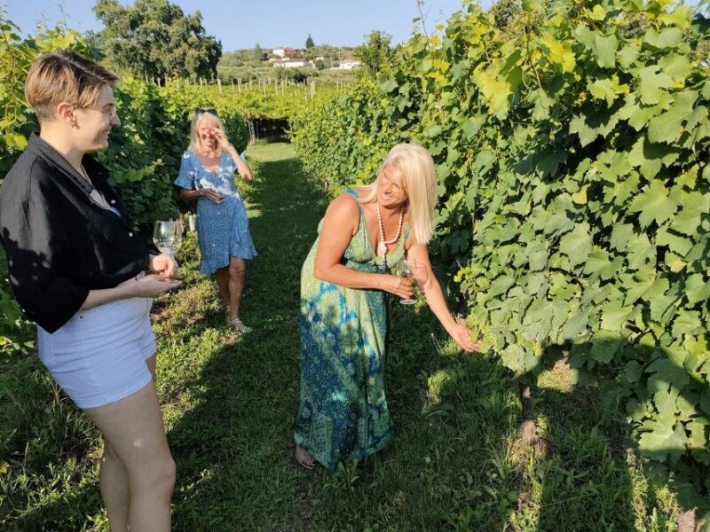 Cavaion: Lake Garda Wine & Food Tasting with Vineyard Tour - Key Points