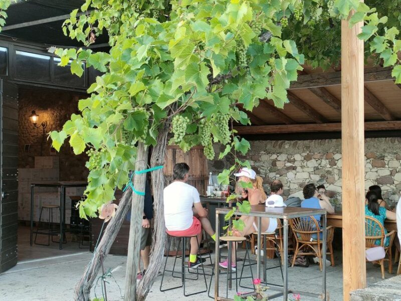 Cavaion: Lake Garda Wine & Food Tasting with Vineyard Tour - What to Expect on the Tour