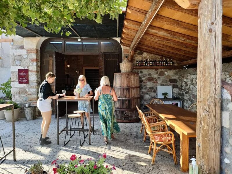 Cavaion: Lake Garda Wine & Food Tasting with Vineyard Tour - The Value and Overall Impression