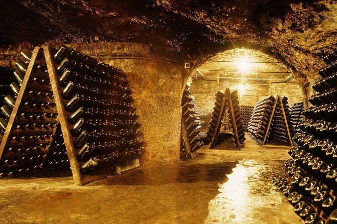 Cavas Freixenet Wine Tour from Mexico City - A Complete Look at the Cavas Freixenet Wine Tour from Mexico City