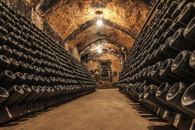 Cavas Freixenet Wine Tour from Mexico City - Analyzing the Value