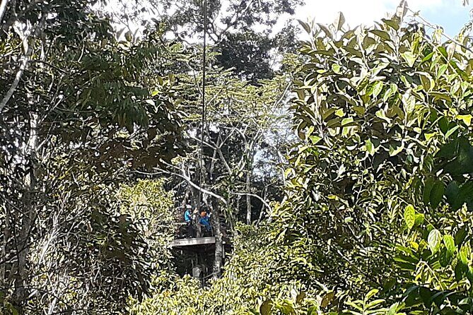 Cave Kayaking or tubing, Ziplines and Altun Ha V.i.V. - In The Sum Up