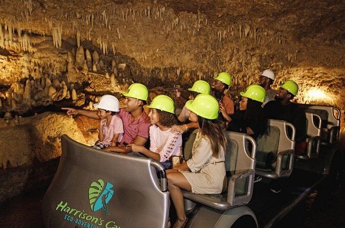 Cave & Monkey Zipline Experience at Harrison's Cave by Chukka - Who Will Love This Tour?