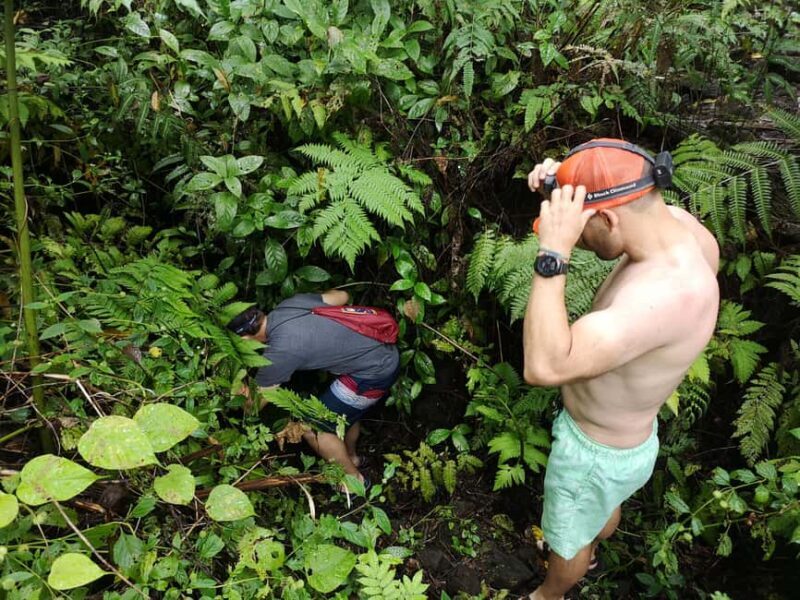 Cave Pool & Lava Tube Swims of Upolu - The Sum Up: Who Will Love This Experience?