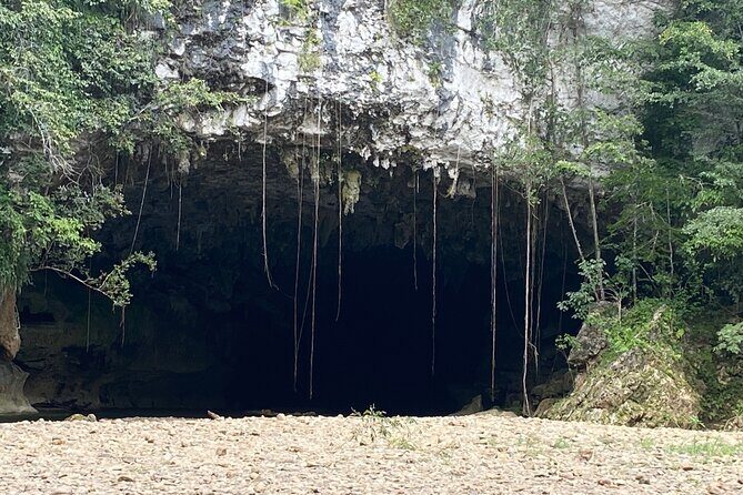 Cave Tubing Paradise and The Howler Monkey Sanctuary - Who Should Take This Tour?