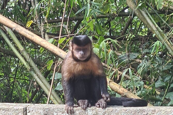 Caves And Waterfalls Tour in Rio de Janeiro - FAQ