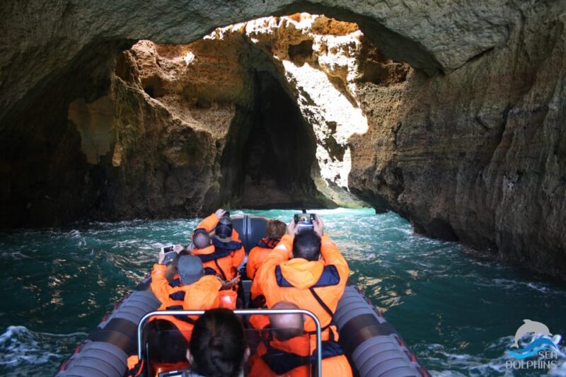 Caves & Dolphins - Combined Trip - Why This Tour Stands Out