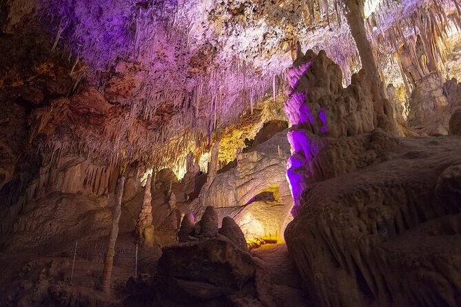 Caves Drach Boat Trip from Alcudia with Return Bus and Tickets - A Deep Dive into the Caves Drach Boat Trip Experience