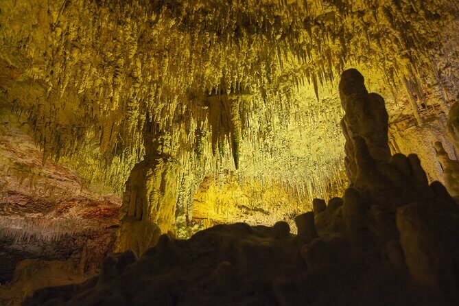 Caves Drach Boat Trip from Alcudia with Return Bus and Tickets - The Practicalities: What to Expect and Consider