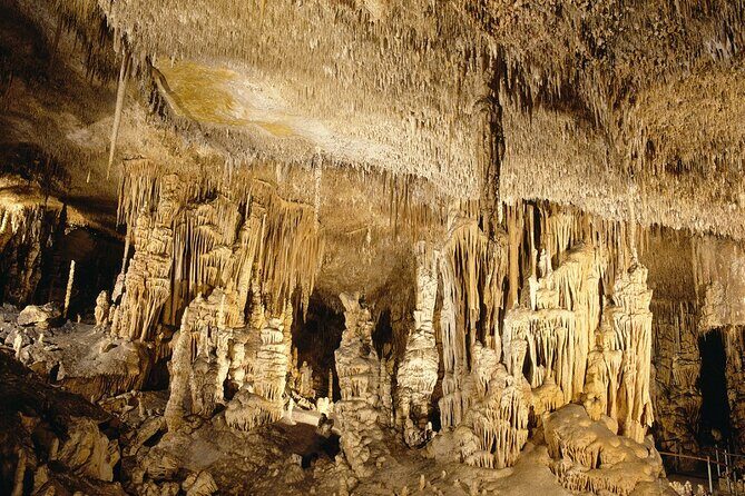 Caves Drach Tour & Return Transfer from Cala Dor-Calas Mallorca - A Deep Dive into the Caves Drach Tour Experience
