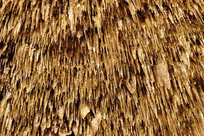Caves of Drach Half-Day Tour with Boat Trip and Music Concert - FAQ