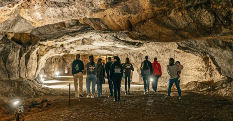 Caves prehistory of Esplugues Francolí with hotel pickup - Who Will Love This Tour?