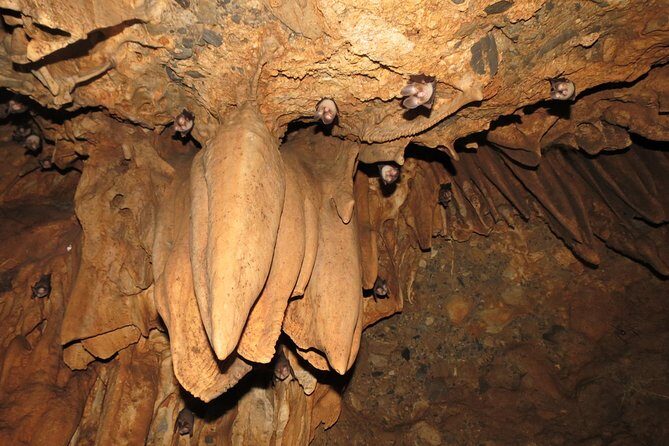 Caving Tour in Rishikesh - 6 Hrs. - Key Points