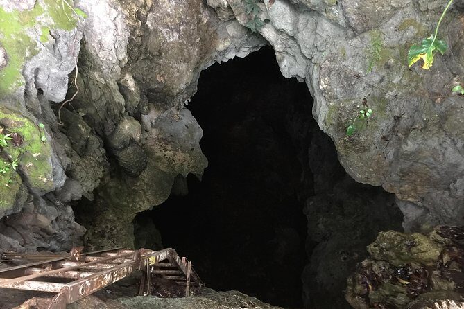 Caving tour ( stalactites-stalagmites) & hiking at national park - A Detailed Look at the Caving and Hiking Adventure