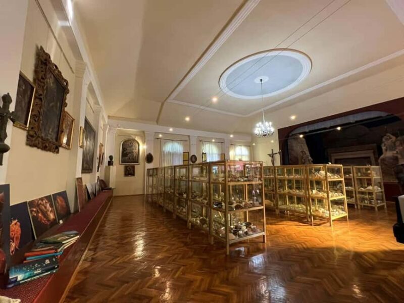 Cavtat: Shell Museum Private Guided Tour - A Closer Look at the Shell Museum Experience