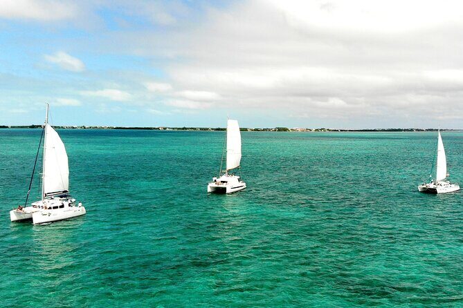 Caye Caulker Sailing with Snorkeling Hol Chan and Shark Ray Alley - Final Thoughts: Who Is This Tour Perfect For?