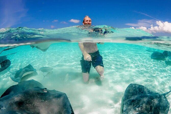Cayman 3 in 1 Adventure Reef Snorkeling, Starfish and Stingrays - The Experience in Detail: A Deep Dive into the Tour