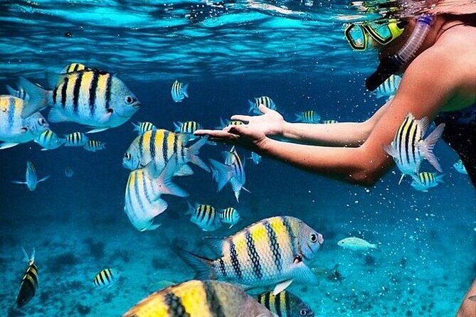 Cayman 3 in 1 Combo: Starfish Point, Stingrays and Reefs - Frequently Asked Questions