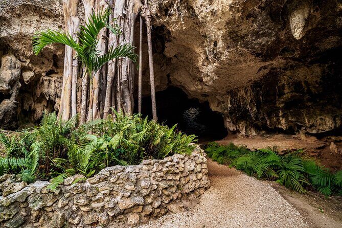 Cayman Adventure Stingrays Starfish plus Crystal Caves - FAQ