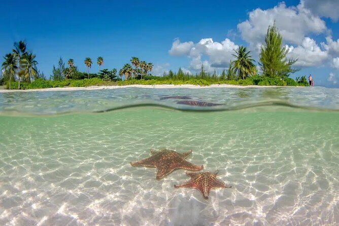 Cayman Combo Tour: Starfish Point, Stingray City & Coral Gardens - Final Thoughts: Who Will Love This Tour?