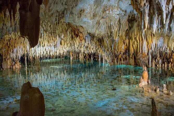 Cayman Combo Tour: Stingrays, Starfish Point and Crystal Caves - Introduction: A Compact Yet Rich Cayman Experience