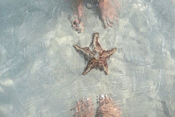 Cayman Ultimate Tour: Stingrays, Starfish Point and Crystal Caves - Detailed Review of the Cayman Ultimate Tour