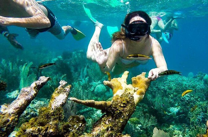 Cayo Arena Day Trip from Puerto Plata - Who Is This Tour Best Suited For?