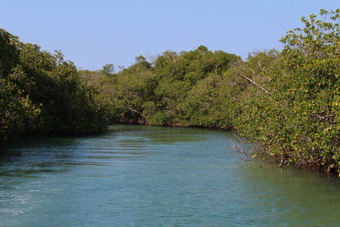 Cayo Arena Day Trip from Puerto Plata, Sosua and Cabarete - A Deep Dive into the Cayo Arena Day Trip