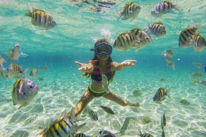 Cayo Arena: Paradise Island and Mangroves Tour Lunch - Key Points