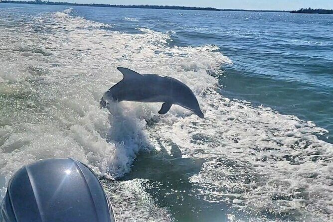 Cayo Costa Private Power Boat Experience - What’s Included and Why It Matters