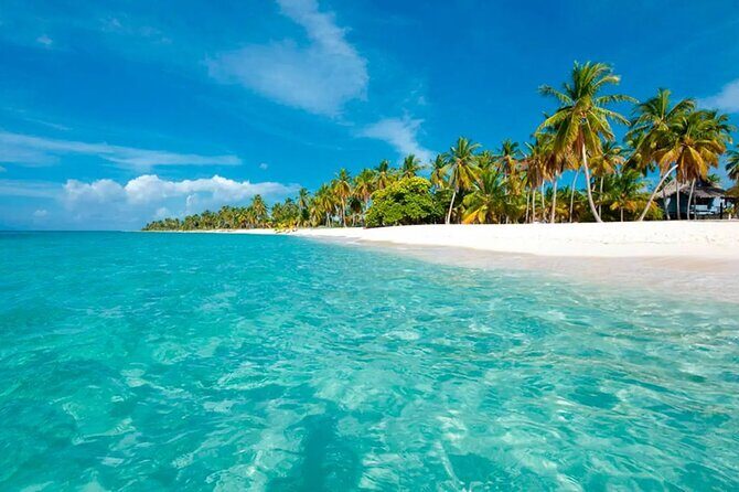 Cayo Levantado, Isla Bacardí and Whale Watching in Samaná - What the Reviews Say