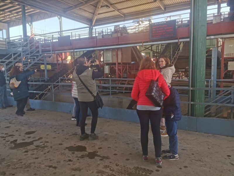 Cazorla: Oleotour - Olive Oil Culture Initiation - FAQ