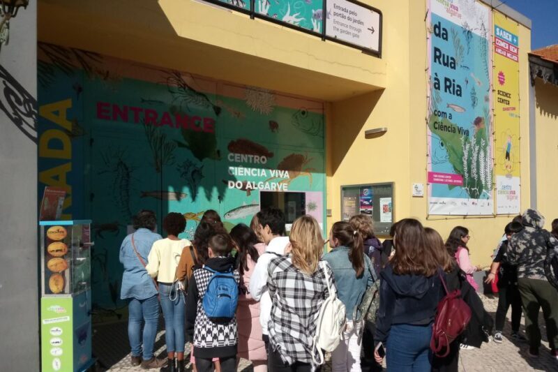 CCVAlgarve Individual Ticket - What the Reviews Say