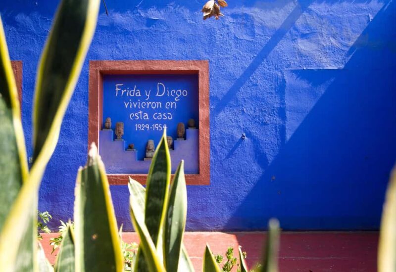 CDMX: Coyoacán, UNAM, Xochimilco, and optional Frida Kahlo Museum - Practical Considerations