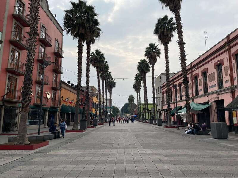 CDMX: Garibaldi Copa Show - Key Points