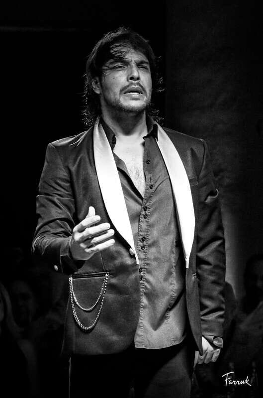 CDMX: Live Flamenco Show and Dinner - Experience the Passion of Spain Right in Mexico City