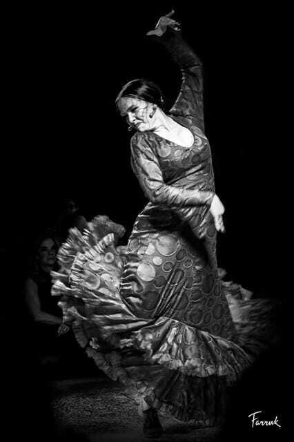 CDMX: Live Flamenco Show and Dinner - Final Thoughts
