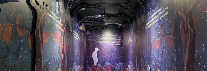 CDMX: Museum of Memory and Tolerance - Children in Silence (Admission ticket) - The Sum Up